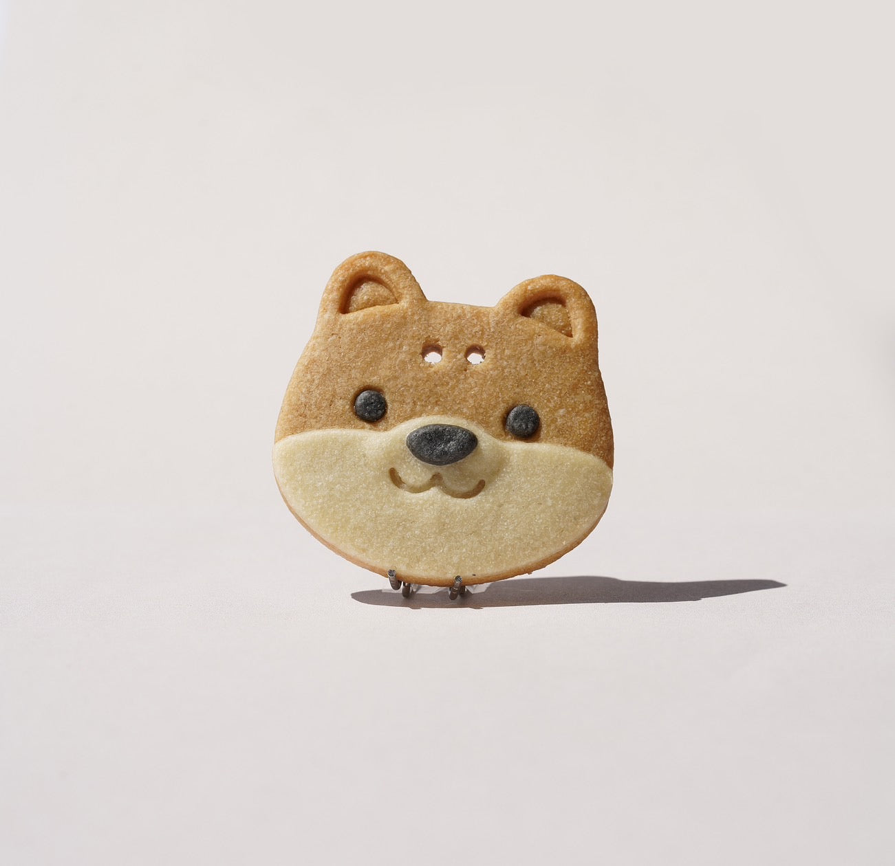 柴犬