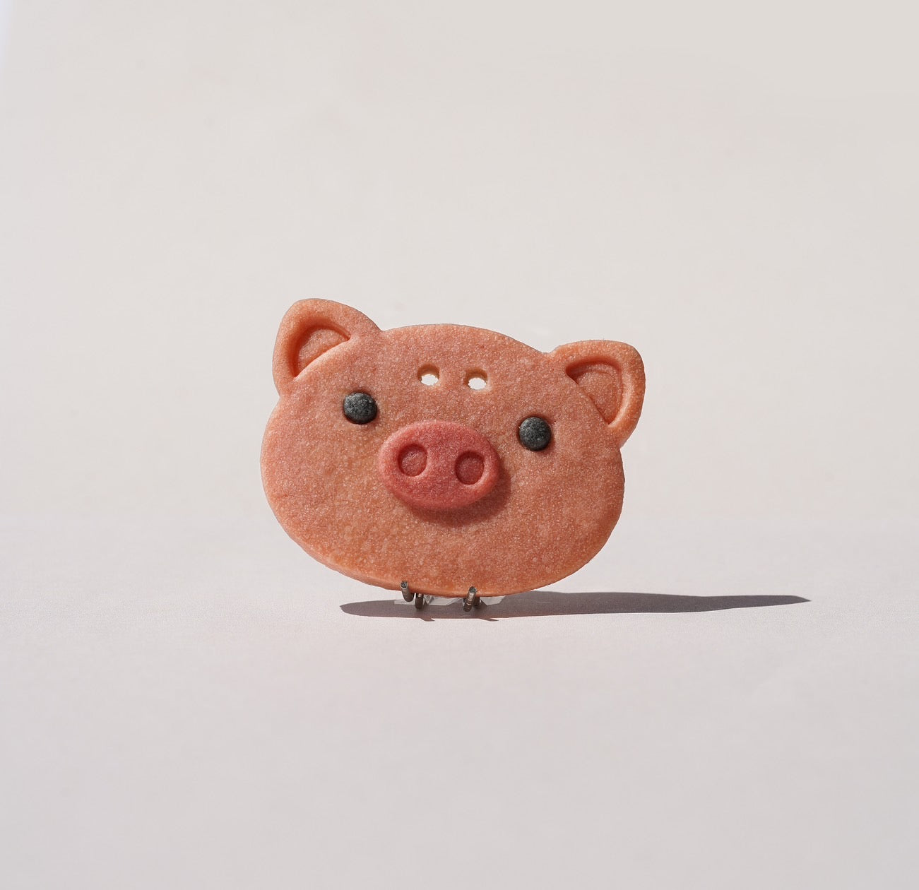 小豬